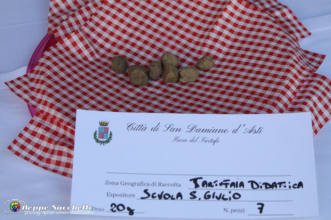 VBS_5527 - 10.ma Fiera Nazionale del Tartufo e Fiera dei Santi.jpg